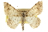  ( - CCDB-20801-D04)  @15 [ ] CreativeCommons - Attribution (2013) CBG Photography Group Centre for Biodiversity Genomics