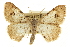  ( - CCDB-20801-E01)  @11 [ ] CreativeCommons - Attribution (2013) CBG Photography Group Centre for Biodiversity Genomics
