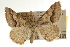  ( - CCDB-20801-E12)  @14 [ ] CreativeCommons - Attribution (2013) CBG Photography Group Centre for Biodiversity Genomics