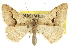  ( - CCDB-20801-F01)  @14 [ ] CreativeCommons - Attribution (2013) CBG Photography Group Centre for Biodiversity Genomics