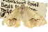  ( - CCDB-20801-F03)  @11 [ ] CreativeCommons - Attribution (2013) CBG Photography Group Centre for Biodiversity Genomics