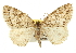  ( - CCDB-20801-G10)  @14 [ ] CreativeCommons - Attribution (2013) CBG Photography Group Centre for Biodiversity Genomics