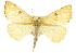  ( - CCDB-20801-H02)  @14 [ ] CreativeCommons - Attribution (2013) CBG Photography Group Centre for Biodiversity Genomics