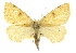  ( - CCDB-20801-H03)  @14 [ ] CreativeCommons - Attribution (2013) CBG Photography Group Centre for Biodiversity Genomics