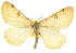  ( - CCDB-20801-H04)  @14 [ ] CreativeCommons - Attribution (2013) CBG Photography Group Centre for Biodiversity Genomics