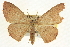  ( - CCDB-20264-G04)  @15 [ ] CreativeCommons - Attribution (2013) CBG Photography Group Centre for Biodiversity Genomics