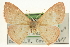  ( - CCDB-20264-G11)  @14 [ ] CreativeCommons - Attribution (2013) CBG Photography Group Centre for Biodiversity Genomics
