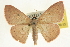  ( - CCDB-20264-H01)  @15 [ ] CreativeCommons - Attribution (2013) CBG Photography Group Centre for Biodiversity Genomics