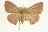  ( - CCDB-20264-H02)  @14 [ ] CreativeCommons - Attribution (2013) CBG Photography Group Centre for Biodiversity Genomics
