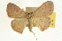  ( - CCDB-20264-H03)  @14 [ ] CreativeCommons - Attribution (2013) CBG Photography Group Centre for Biodiversity Genomics