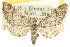 (Eupithecia albimontanata - CCDB-20270-A02)  @14 [ ] CreativeCommons - Attribution (2013) CBG Photography Group Centre for Biodiversity Genomics