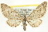  ( - CCDB-20270-B07)  @13 [ ] CreativeCommons - Attribution (2013) CBG Photography Group Centre for Biodiversity Genomics