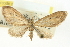  ( - CCDB-20270-C05)  @14 [ ] CreativeCommons - Attribution (2013) CBG Photography Group Centre for Biodiversity Genomics