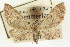  ( - CCDB-20270-D04)  @11 [ ] CreativeCommons - Attribution (2013) CBG Photography Group Centre for Biodiversity Genomics
