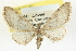 ( - CCDB-20270-D09)  @15 [ ] CreativeCommons - Attribution (2013) CBG Photography Group Centre for Biodiversity Genomics