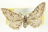  ( - CCDB-20270-E01)  @14 [ ] CreativeCommons - Attribution (2013) CBG Photography Group Centre for Biodiversity Genomics