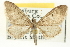  ( - CCDB-20270-E08)  @14 [ ] CreativeCommons - Attribution (2013) CBG Photography Group Centre for Biodiversity Genomics
