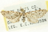  ( - CCDB-20270-G08)  @14 [ ] CreativeCommons - Attribution (2013) CBG Photography Group Centre for Biodiversity Genomics