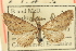  ( - CCDB-20270-H05)  @11 [ ] CreativeCommons - Attribution (2013) CBG Photography Group Centre for Biodiversity Genomics