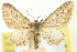  ( - CCDB-20270-H06)  @11 [ ] CreativeCommons - Attribution (2013) CBG Photography Group Centre for Biodiversity Genomics