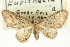  ( - CCDB-20270-H11)  @14 [ ] CreativeCommons - Attribution (2013) CBG Photography Group Centre for Biodiversity Genomics