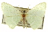  ( - CCDB-20263-A05)  @11 [ ] CreativeCommons - Attribution (2013) CBG Photography Group Centre for Biodiversity Genomics