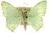  ( - CCDB-20263-B06)  @13 [ ] CreativeCommons - Attribution (2013) CBG Photography Group Centre for Biodiversity Genomics