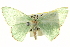  ( - CCDB-20263-B07)  @11 [ ] CreativeCommons - Attribution (2013) CBG Photography Group Centre for Biodiversity Genomics
