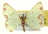  ( - CCDB-20263-D06)  @14 [ ] CreativeCommons - Attribution (2013) CBG Photography Group Centre for Biodiversity Genomics