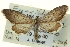  ( - CCDB-20263-F10)  @15 [ ] CreativeCommons - Attribution (2013) CBG Photography Group Centre for Biodiversity Genomics
