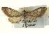  ( - CCDB-20263-F11)  @14 [ ] CreativeCommons - Attribution (2013) CBG Photography Group Centre for Biodiversity Genomics