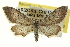  ( - CCDB-20263-G01)  @15 [ ] CreativeCommons - Attribution (2013) CBG Photography Group Centre for Biodiversity Genomics