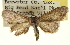  ( - CCDB-20263-G10)  @11 [ ] CreativeCommons - Attribution (2013) CBG Photography Group Centre for Biodiversity Genomics