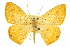  ( - CCDB-20808-E11)  @14 [ ] CreativeCommons - Attribution (2013) CBG Photography Group Centre for Biodiversity Genomics