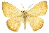  ( - CCDB-20808-F03)  @14 [ ] CreativeCommons - Attribution (2013) CBG Photography Group Centre for Biodiversity Genomics
