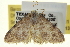  ( - CCDB-20265-B11)  @11 [ ] CreativeCommons - Attribution (2013) CBG Photography Group Centre for Biodiversity Genomics