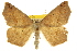  ( - CCDB-20808-F07)  @14 [ ] CreativeCommons - Attribution (2013) CBG Photography Group Centre for Biodiversity Genomics