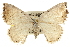  ( - CCDB-20808-F11)  @14 [ ] CreativeCommons - Attribution (2013) CBG Photography Group Centre for Biodiversity Genomics