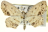  ( - CCDB-20265-D02)  @14 [ ] CreativeCommons - Attribution (2013) CBG Photography Group Centre for Biodiversity Genomics