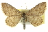  ( - CCDB-20265-E05)  @11 [ ] CreativeCommons - Attribution (2013) CBG Photography Group Centre for Biodiversity Genomics