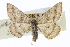 ( - CCDB-20265-E08)  @11 [ ] CreativeCommons - Attribution (2013) CBG Photography Group Centre for Biodiversity Genomics