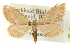  ( - CCDB-20265-F12)  @13 [ ] CreativeCommons - Attribution (2013) CBG Photography Group Centre for Biodiversity Genomics
