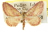  ( - CCDB-20265-G02)  @11 [ ] CreativeCommons - Attribution (2013) CBG Photography Group Centre for Biodiversity Genomics