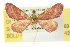  ( - CCDB-20265-G03)  @12 [ ] CreativeCommons - Attribution (2013) CBG Photography Group Centre for Biodiversity Genomics