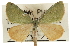  ( - CCDB-20809-B09)  @14 [ ] CreativeCommons - Attribution (2013) CBG Photography Group Centre for Biodiversity Genomics