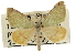  ( - CCDB-20809-B10)  @14 [ ] CreativeCommons - Attribution (2013) CBG Photography Group Centre for Biodiversity Genomics