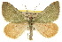 ( - CCDB-20809-B11)  @15 [ ] CreativeCommons - Attribution (2013) CBG Photography Group Centre for Biodiversity Genomics