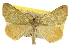  ( - CCDB-20809-B12)  @14 [ ] CreativeCommons - Attribution (2013) CBG Photography Group Centre for Biodiversity Genomics