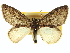  ( - CCDB-20267-A02)  @11 [ ] CreativeCommons - Attribution (2013) CBG Photography Group Centre for Biodiversity Genomics