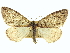  ( - CCDB-20267-A09)  @11 [ ] CreativeCommons - Attribution (2013) CBG Photography Group Centre for Biodiversity Genomics